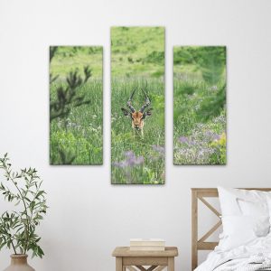 Triple Split Canvas Combo - Wall Art Prints