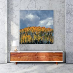 100x100cm Premium Canvas Print - Wall Art Prints