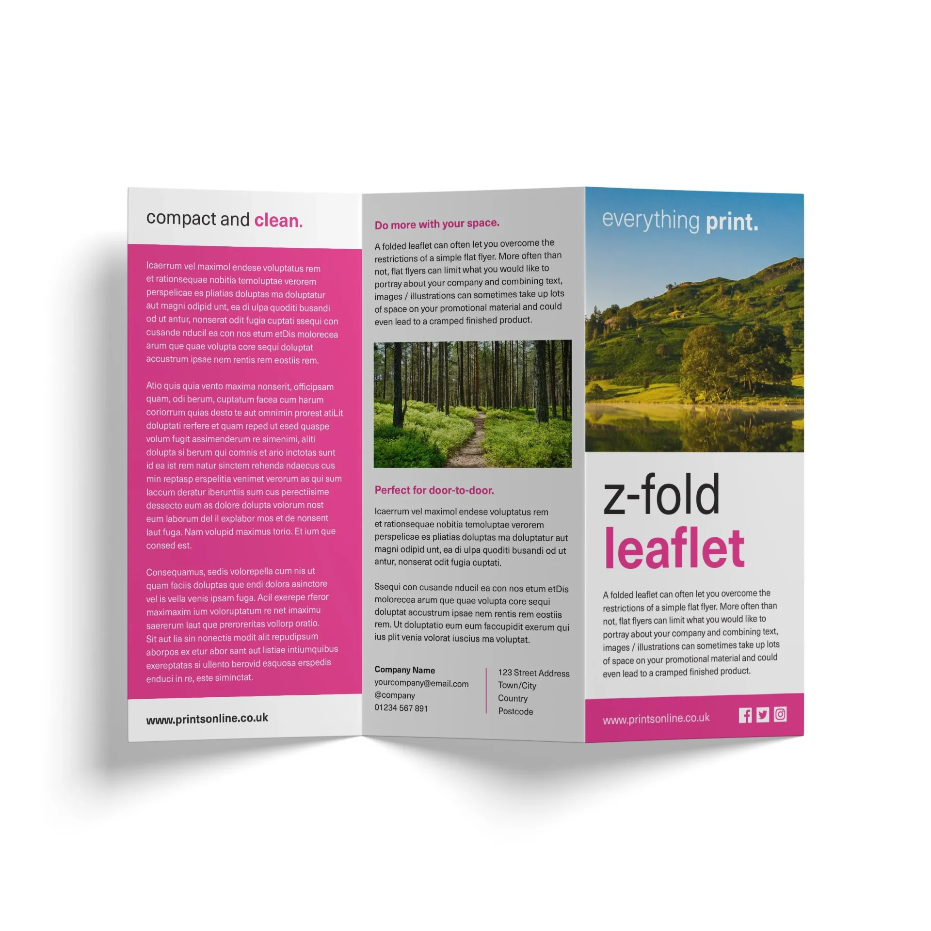 Printed Z-Folded DL Leaflets