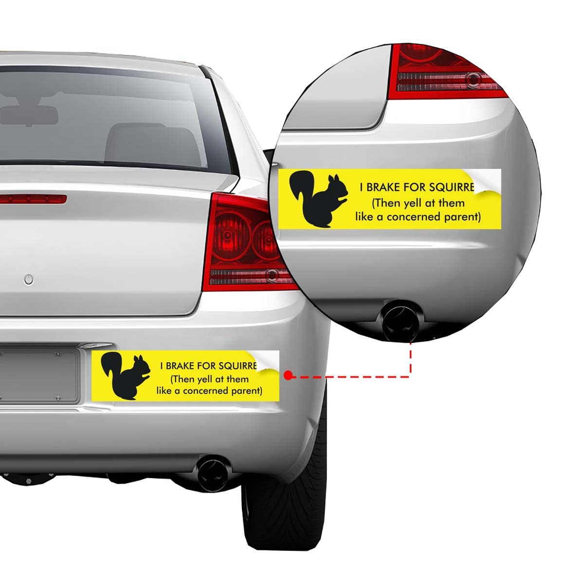 Medium Car Bumper Stickers